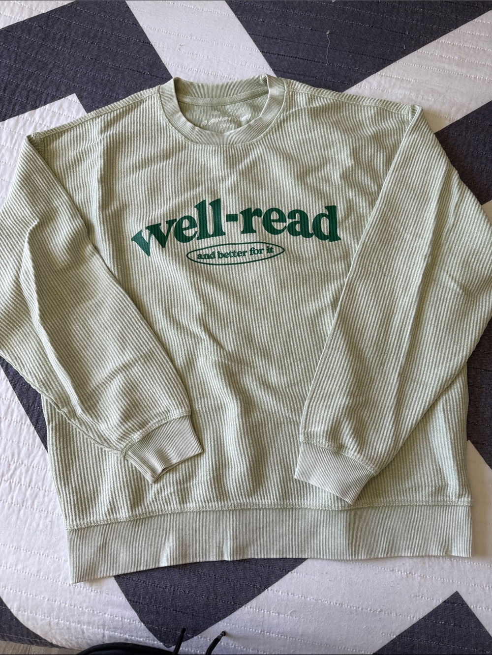 Well-Read Ribbed Crewneck Sweatshirt in Sage Green